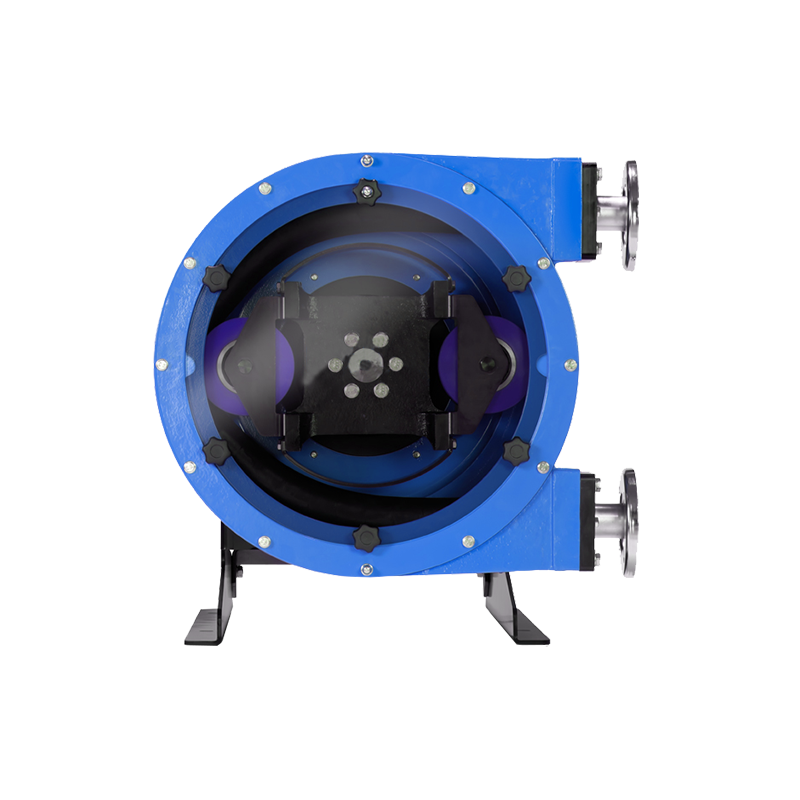 롤러 호스 펌프 롤러 호스 펌프